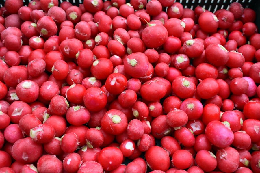 Redīsi, 2kg