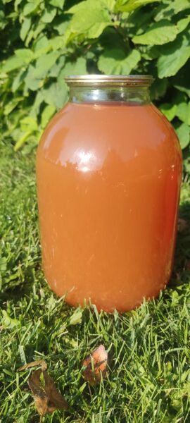 Ābolu sula, 3l