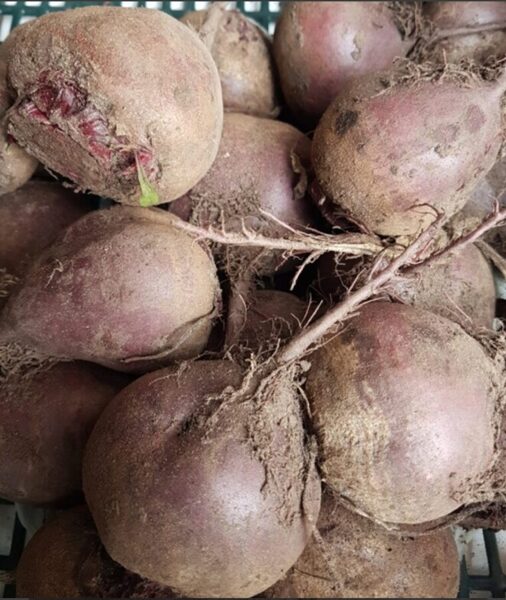 Bietes, 5kg